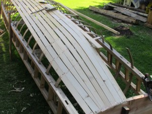 IMG_1533